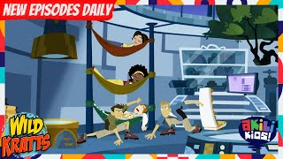 Wild Kratts The Gecko Effect Akili Kids