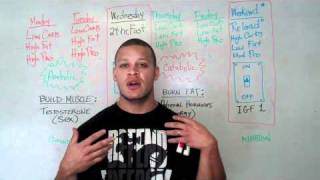 Fat Burning & Muscle Diet Plan