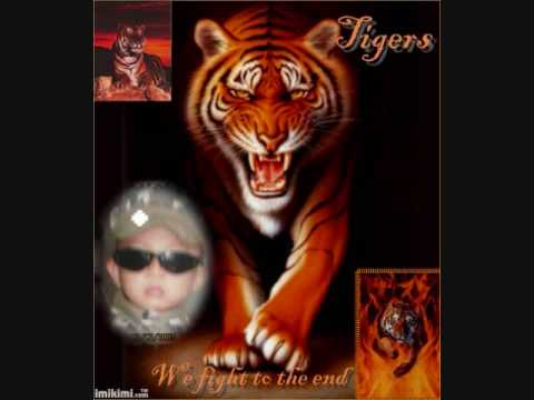 POWER METAL SERIGALA MALAM