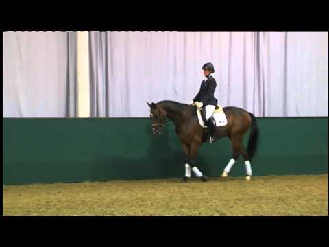 31 Rock Dancer v.Rock Forever Weltmeyer (44.NRW Elite-Auktion...