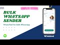 Bulk WhatsApp Sender | Complete Tutorial for Sending Bulk Messages on WhatsApp | WhatsTool Tech