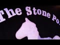 3/14/2014 Black 47 Stone Pony Reels