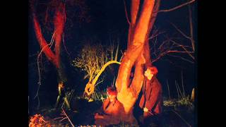 Watch Echo The Bunnymen Crocodiles video