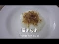 黒柴クロ 犬ごはん が〜ん！ 猫まんま Shiba Inu Kuro Eats Food For Cats