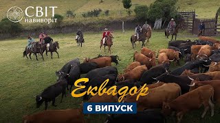 Родео со злейшими быками и скачки на ламах. Мир Наизнанку 13 сезон 6 серия. Эквадор