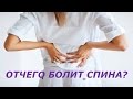 Позвоночник остеохондроз причины