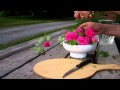Rose Bowl Arrangement