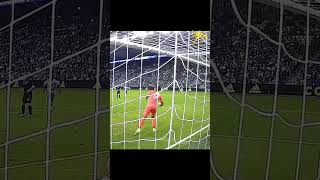 3iEkp_xtQQc Video Image