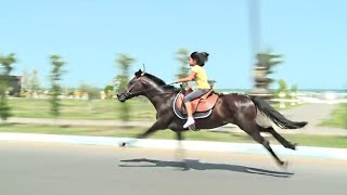 Это Самая Быстрая Лошадь В Мире...