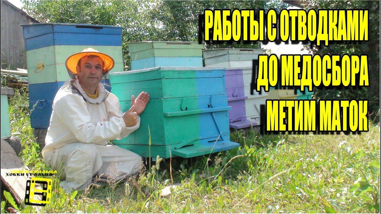 Как сделать отводок до роения 729