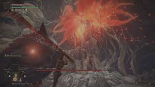 Lvl 1 Malenia Dual Pickaxe
