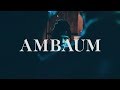 Travis Thompson - Ambaum Goes To The East Coast