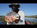 Redfish And Flounder In Palm Valley Redfish And Flounder In Palm Valley
