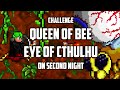 Terraria - Queen Bee & Eye of Cthulhu on the First Night [Speedrun Challenge]