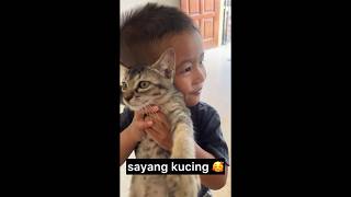 Alfateh Nazril Sayangg Kucing