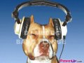 Dj Medoc - BANG FLANGE