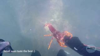 How to catch a Crayfish: GnoMAD.