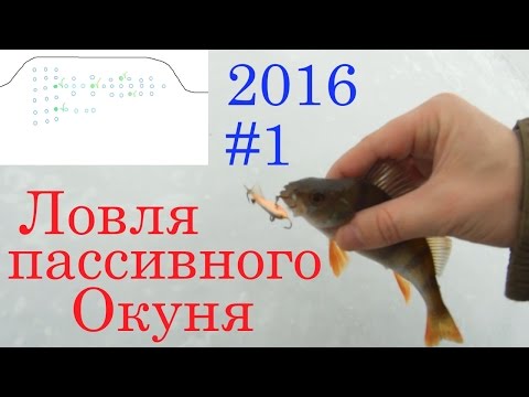 ловля пассивного окуня весной ловля пассивного окуня весной