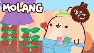Molang Compilation #7 - Summer Compilation - #MyBestFriend - Cartoon for kids