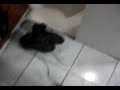 İnsan Arkadaşına Bunu Yapar mı? (Soyunma Kabini :))))