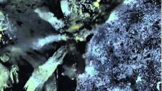 Watch Pines Behind The Time video