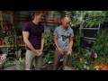 garden video