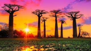 Music for Sleeping 24/7, Calm Music for Lockdown, Relaxing Music, Insomnia, Spa, Zen, Sleep Music