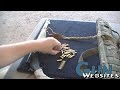 Shooting 9mm from a 12 gauge ?? Shotgun Chamber Adapters