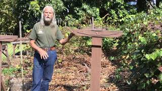 Mulching In The Vineyard & Creating A Trellis System - 2021