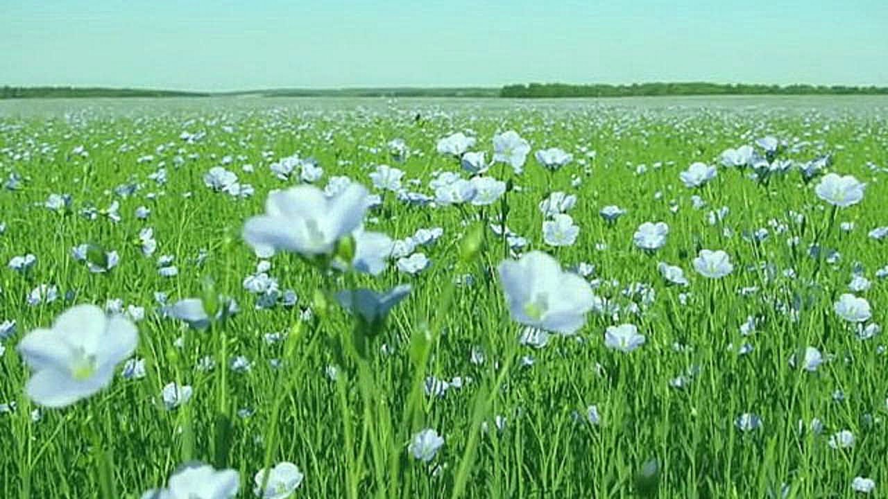 Декупаж для начинающих пошагово с фото Декупаж для начинающих пошагово с фото