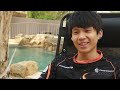 curse gaming