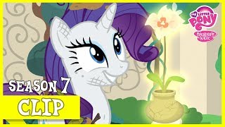 Rarity Retrieves Mistmanes Flower Shadow Play Mlp Fim Hd