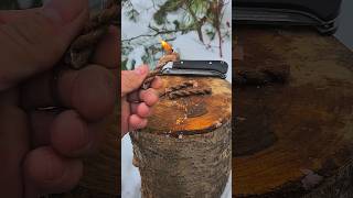 Storm-Proof Firestarter Rope And Wax Lifehack.