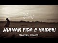Jaanam Fida-e-Haideri (Slowed + Reverb) | Sadiq Hussain