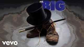 Watch Mr Big Big Love video