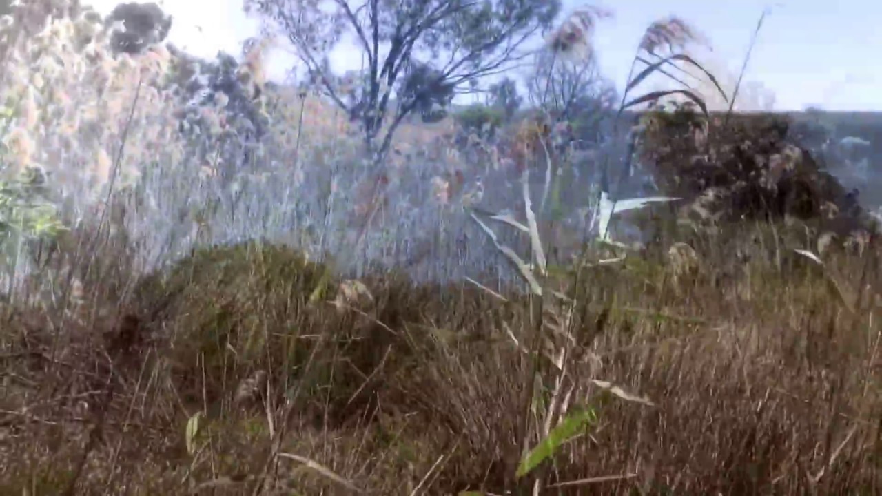 INVADED: A Projection Poem by Ishmael von Heidrick-Barnes