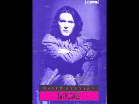 David Sylvian Taking The Veil David Sylvian Taking The Veil