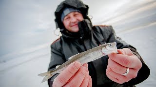 Рыбалка на корюшку на Финском заливе