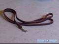 How to Train Puppies : Teach Your Puppy to Walk on a Leash: Part 1