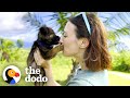 Foster Mom Is A “Seeing Eye Human” For Blind Puppy | The Dodo