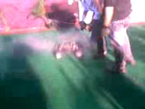 rc cars mumbai