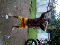 Joget Gangnam Style Ala Jawa Vid 20121208 00003 images Joget Gangnam Style Ala Jawa Vid 20121208 00003