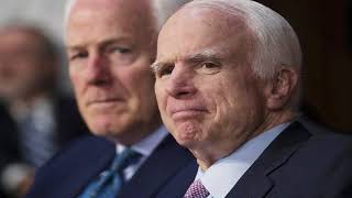 Breaking Theyre Putting Pressure On Mccain Look What Theyre Forcing Him To Decide