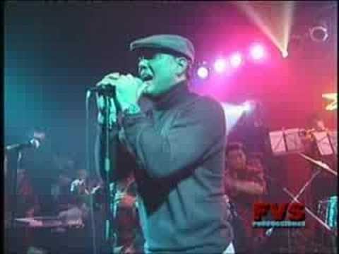 Roberto Blades - Lagrimas Salsa En Vivo Live