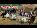 Village Life in Pakistan | Pakistani Punjab Village Life | Rural life pakistan | Karamat Ali Ansari