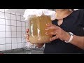 Proporção de grãos de kefir de água na fermentação do líquido | #kefirdeágua