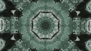 Watch Church Florian Trout video