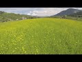 ApfelTechnik01