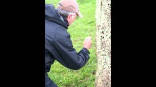 Dowsing at Stanton Drew