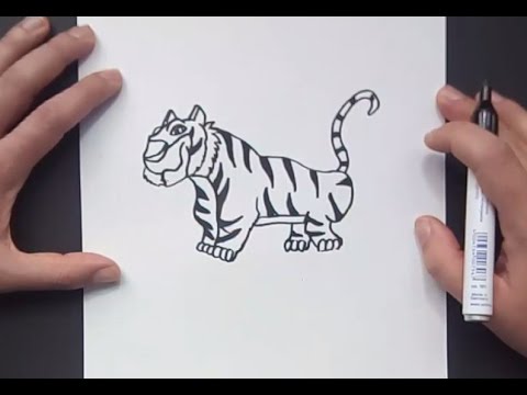 Como dibujar un tigre paso a paso 8 